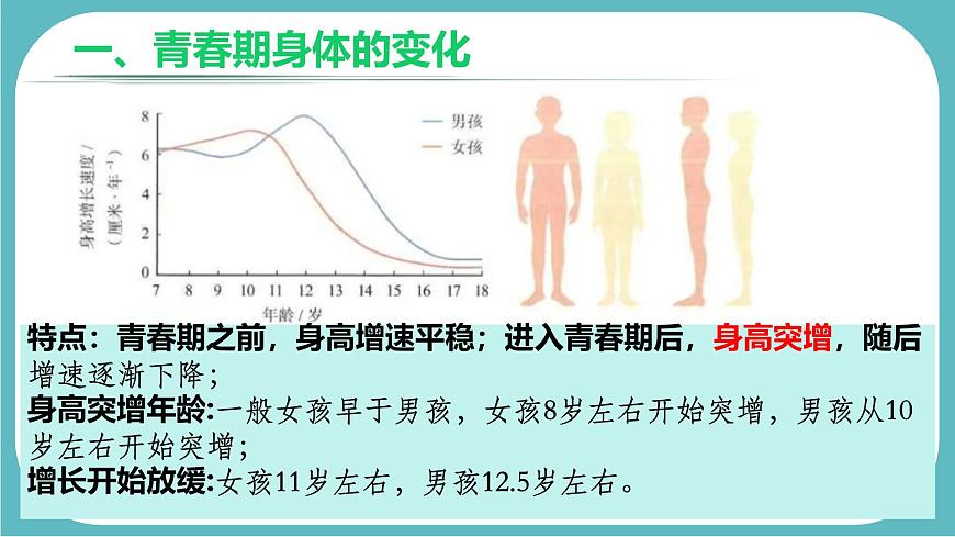 初中  生物  人教版（2024）  七年级下册（2024）  第四单元第二节 青春期 课件第4页