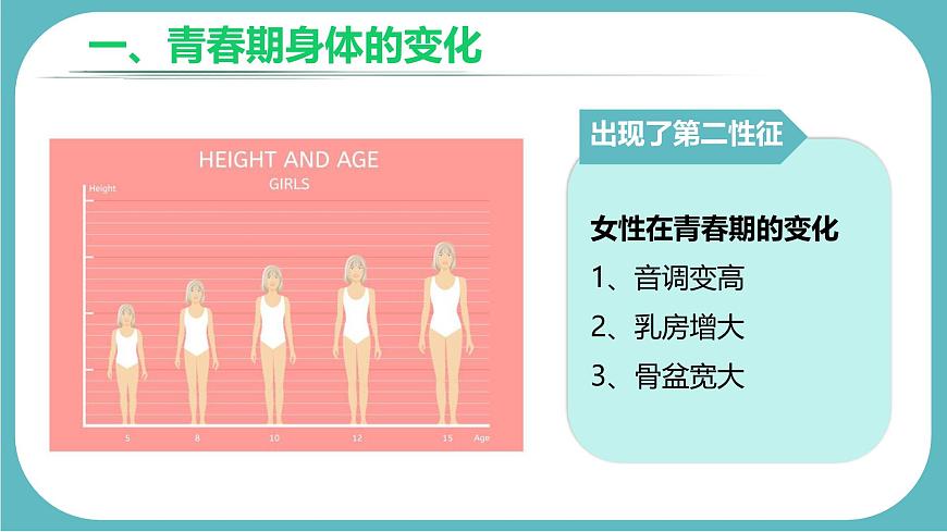 初中  生物  人教版（2024）  七年级下册（2024）  第四单元第二节 青春期 课件第6页