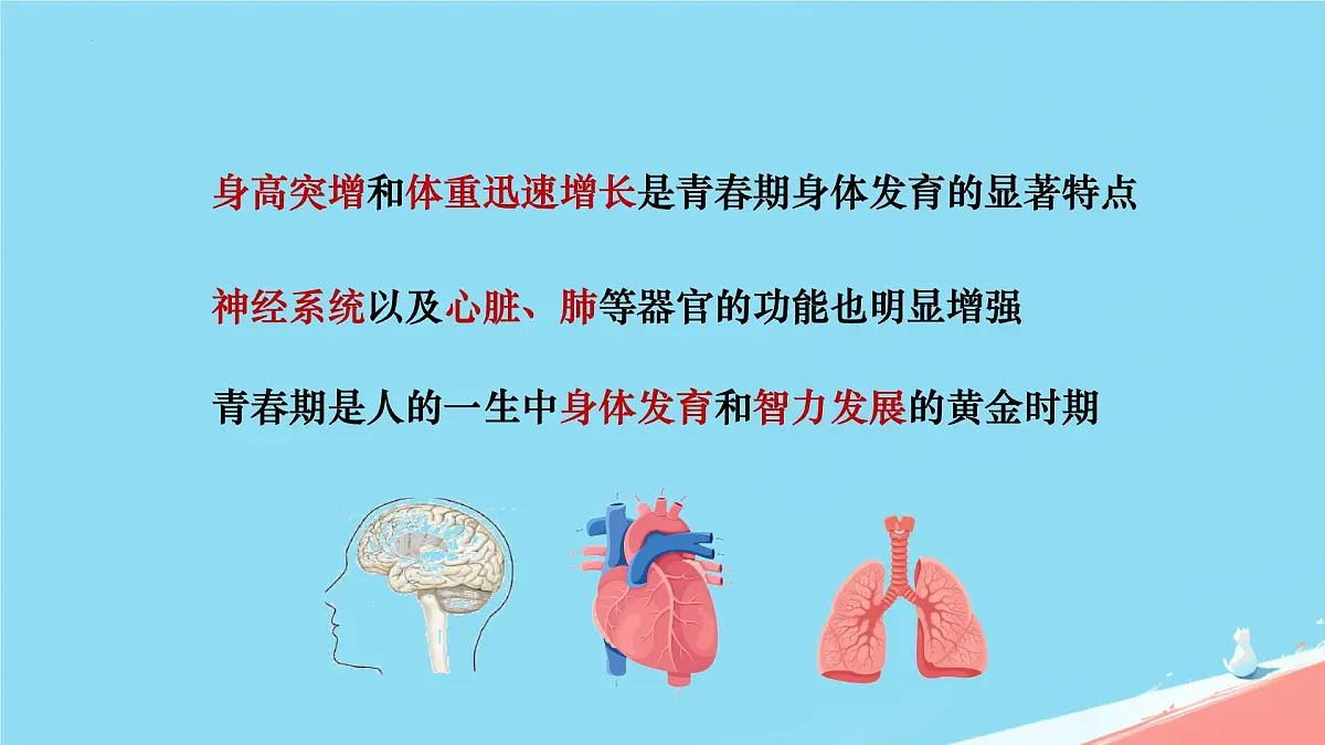 初中 生物 人教版（2024） 七年级下册（2024） 第四单元第二节 青春期 课件第6页