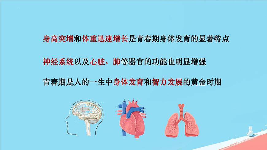 初中  生物  人教版（2024）  七年级下册（2024）  第四单元第二节 青春期 课件第6页