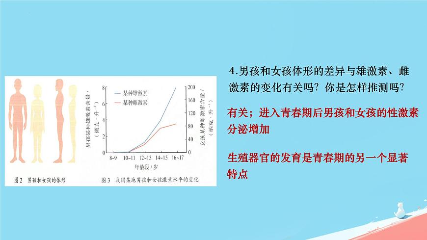 初中  生物  人教版（2024）  七年级下册（2024）  第四单元第二节 青春期 课件第7页