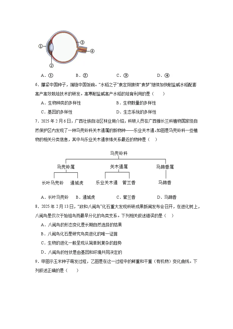 2025年江西省中考一模生物试题（附答案解析）第2页