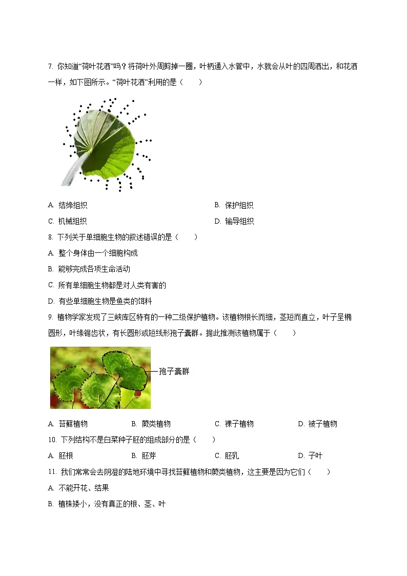 2024-2025学年新疆阿克苏地区阿克苏市七年级上册期末生物检测试题（附答案）第2页