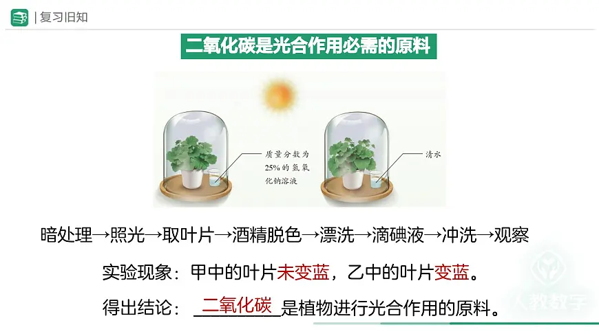 第二节 光合作用（第3课时）课件 生物人教版（2024）七年级下册第5页