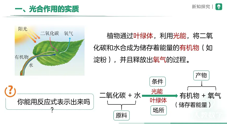 第二节 光合作用（第3课时）课件 生物人教版（2024）七年级下册第6页