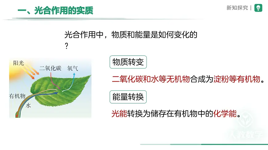 第二节 光合作用（第3课时）课件 生物人教版（2024）七年级下册第7页