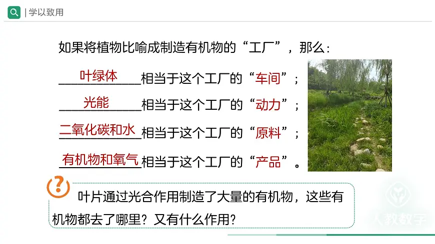 第二节 光合作用（第3课时）课件 生物人教版（2024）七年级下册第8页
