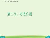 第三节 呼吸作用 课件 生物人教版（2024）七年级下册