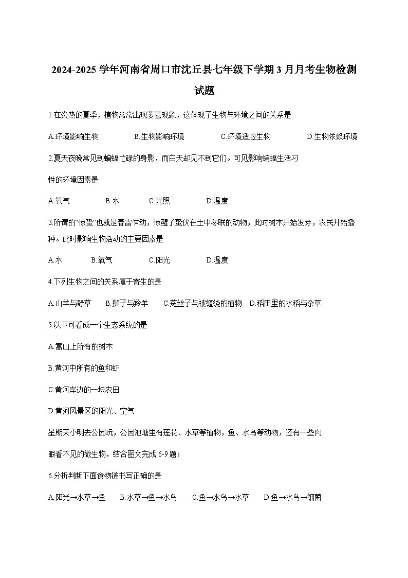 2024-2025学年河南省周口市沈丘县七年级下册3月月考生物检测试题（附答案）第1页