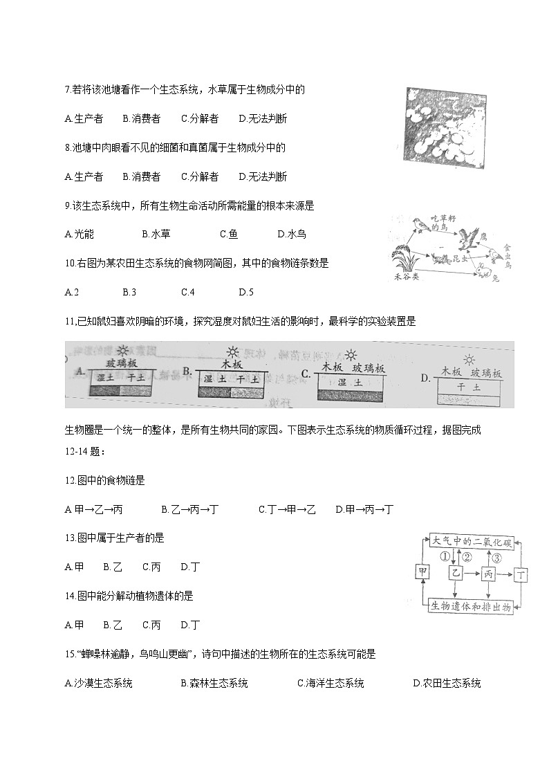 2024-2025学年河南省周口市沈丘县七年级下册3月月考生物检测试题（附答案）第2页