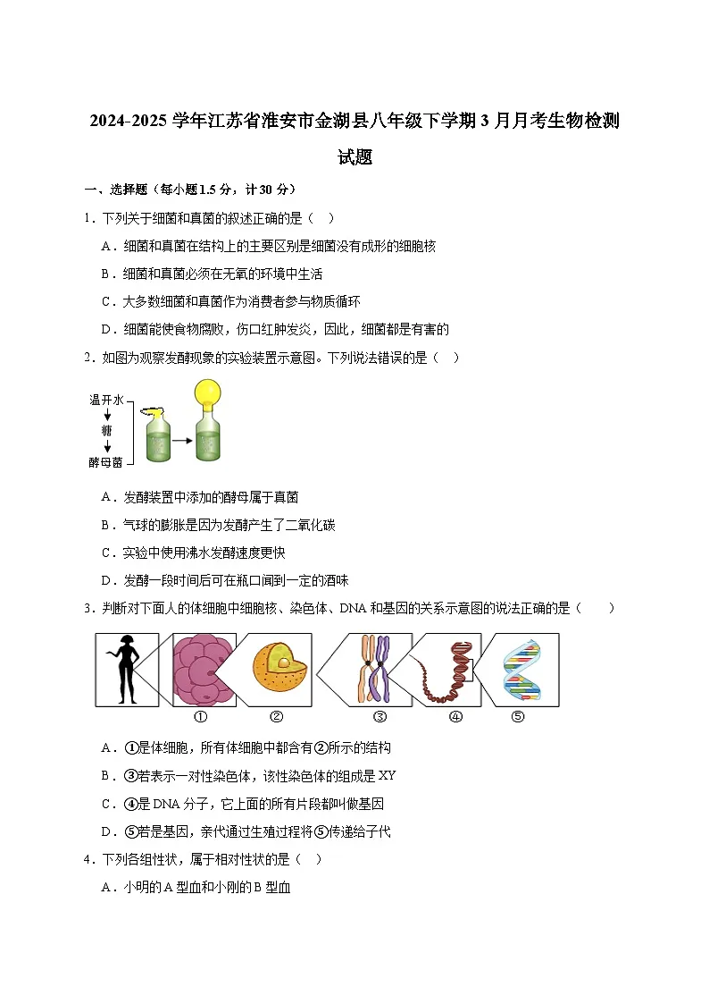 2024-2025学年江苏省淮安市金湖县八年级下册3月月考生物检测试题（附答案）第1页