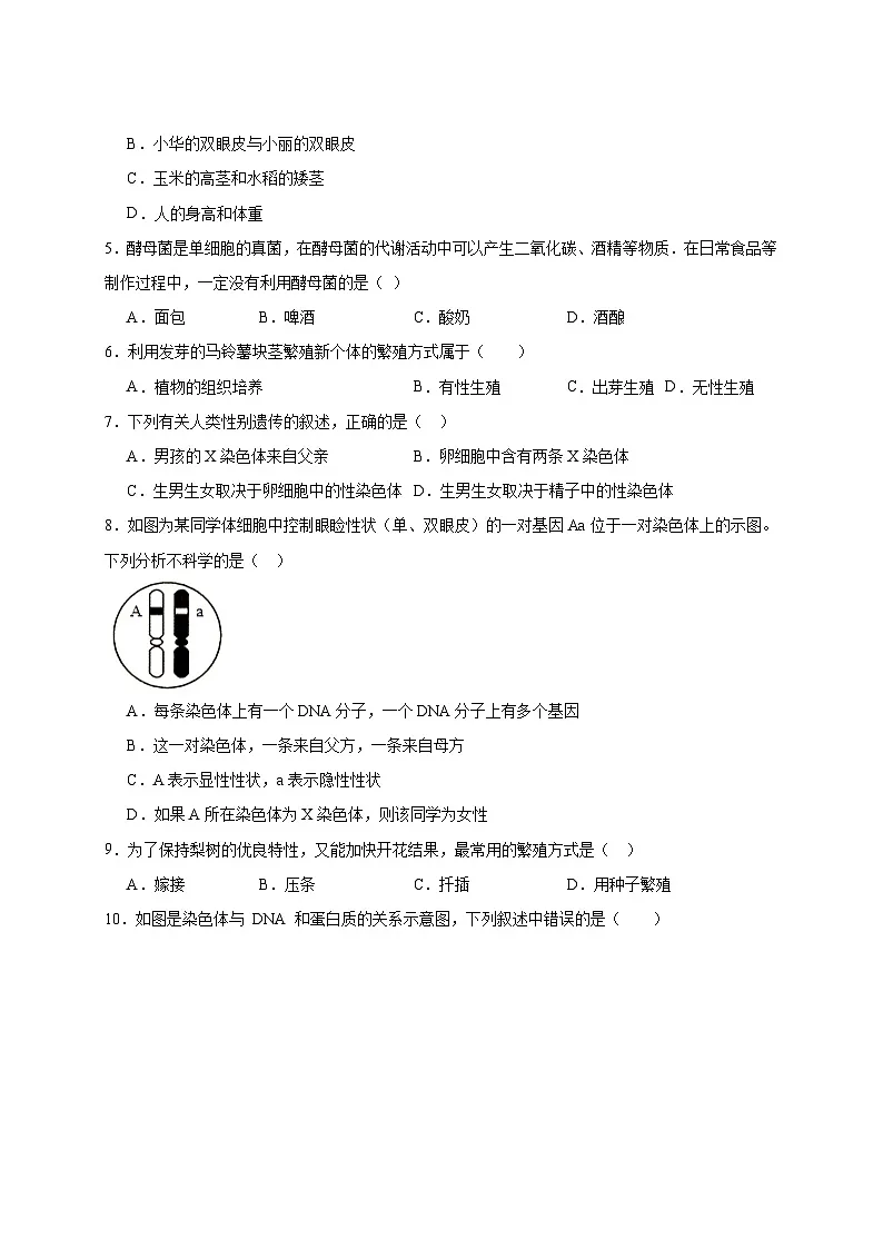 2024-2025学年江苏省淮安市金湖县八年级下册3月月考生物检测试题（附答案）第2页