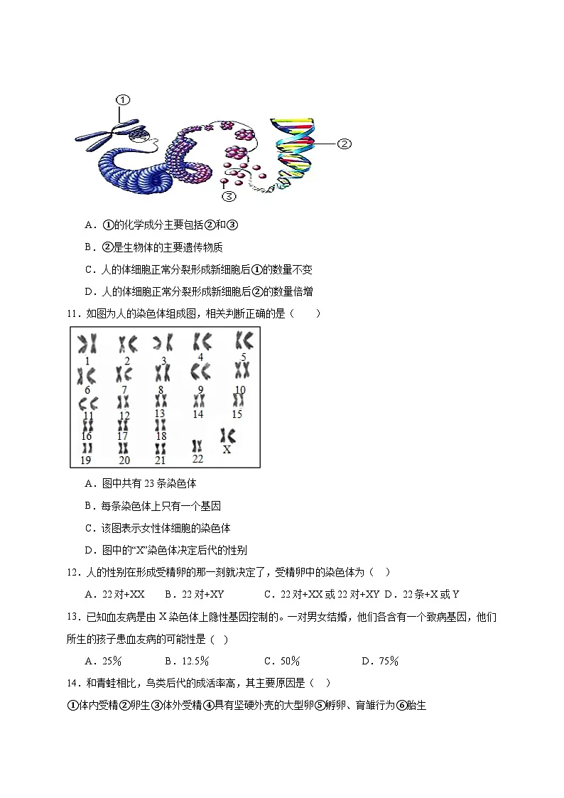 2024-2025学年江苏省淮安市金湖县八年级下册3月月考生物检测试题（附答案）第3页