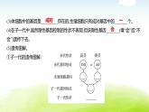 人教版八年级生物下册第七单元第二章第三节基因的显性和隐性课件