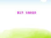 人教版八年级生物下册第七单元第二章第五节生物的变异课件