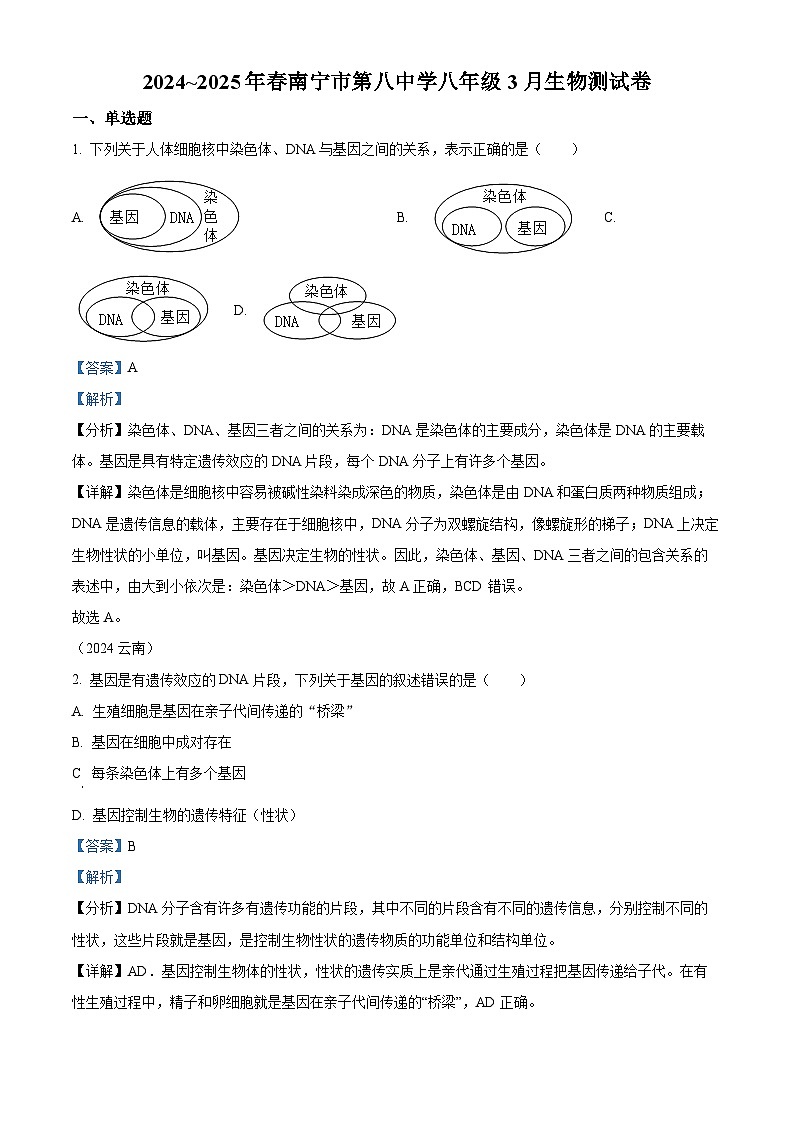 广西南宁市第八中学2024-2025学年八年级下学期3月月考 生物试题（含解析）第1页
