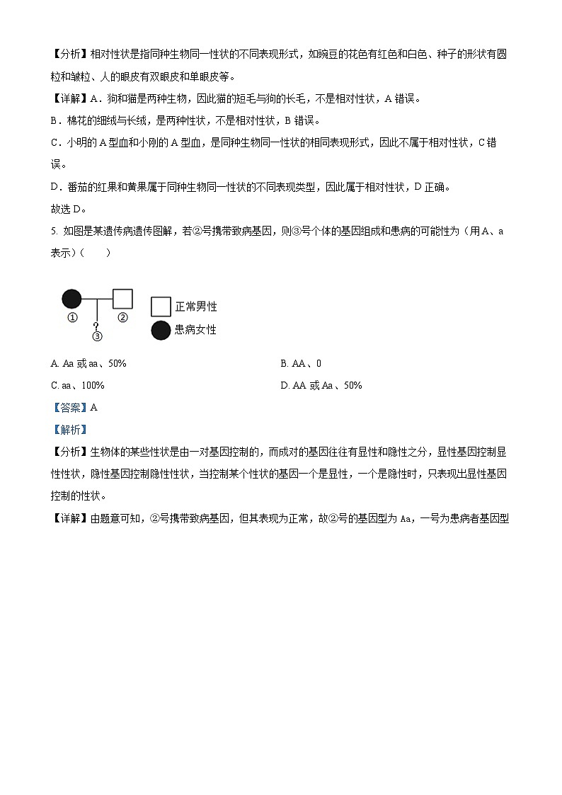 广西南宁市第八中学2024-2025学年八年级下学期3月月考 生物试题（含解析）第3页