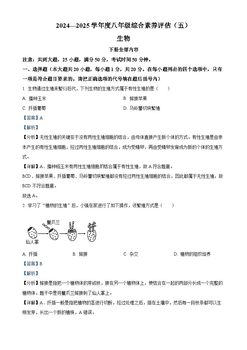 河南省周口市2024--2025学年八年级下学期3月月考 生物试题（含解析）第1页