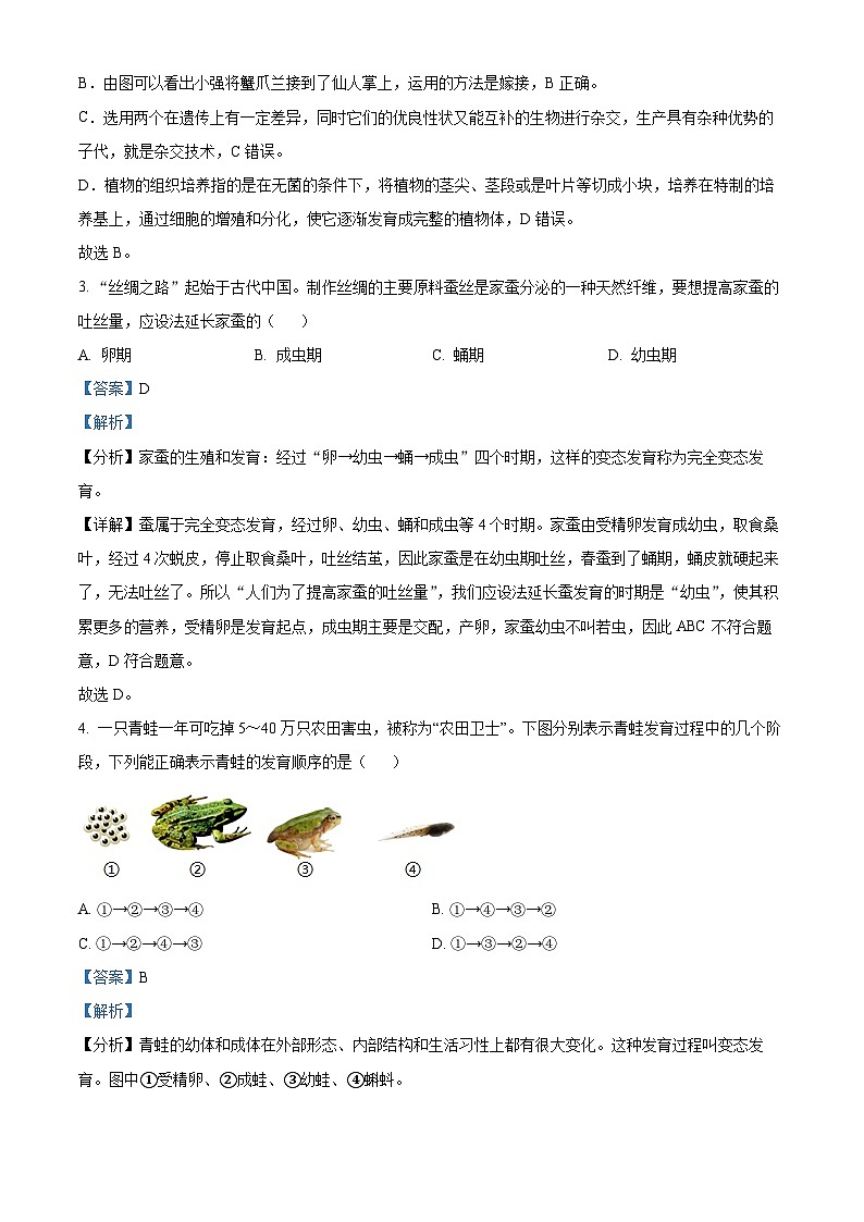 河南省周口市2024--2025学年八年级下学期3月月考 生物试题（含解析）第2页
