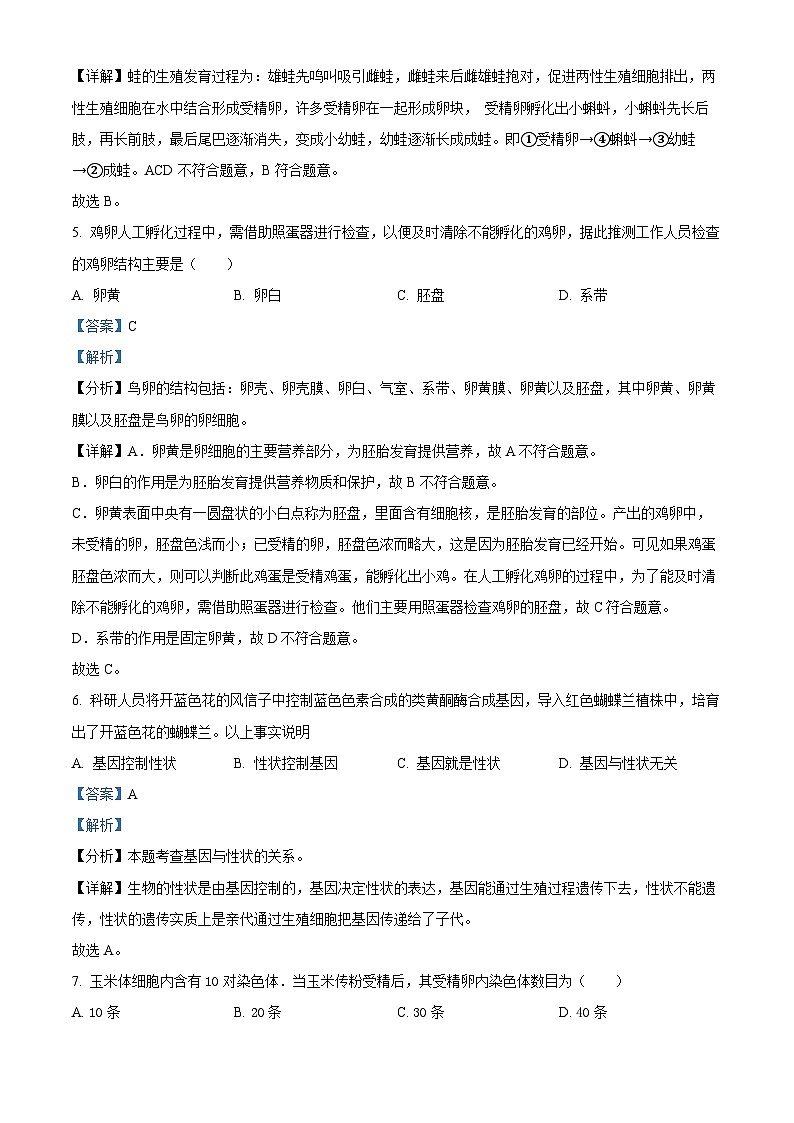 河南省周口市2024--2025学年八年级下学期3月月考 生物试题（含解析）第3页