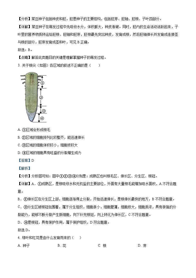 湖北省黄冈市2024-2025学年七年级下学期第3月月考 生物试题（含解析）第2页