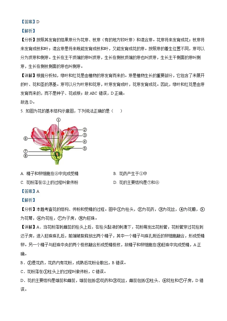 湖北省黄冈市2024-2025学年七年级下学期第3月月考 生物试题（含解析）第3页