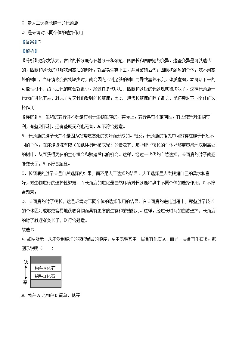 江苏省南通市海马安13校2024-2025学年八年级下学期3月月考 生物试题（含解析）第2页