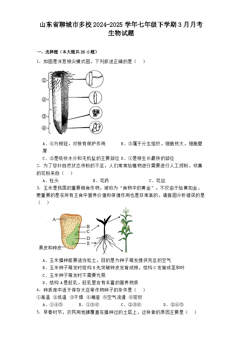 山东省聊城市多校2024-2025学年七年级下学期3月月考 生物试题（含解析）第1页