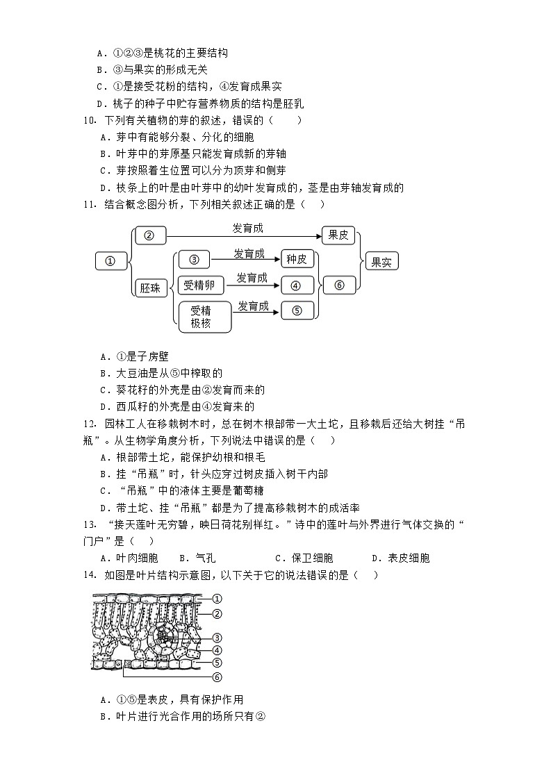 山东省聊城市多校2024-2025学年七年级下学期3月月考 生物试题（含解析）第3页