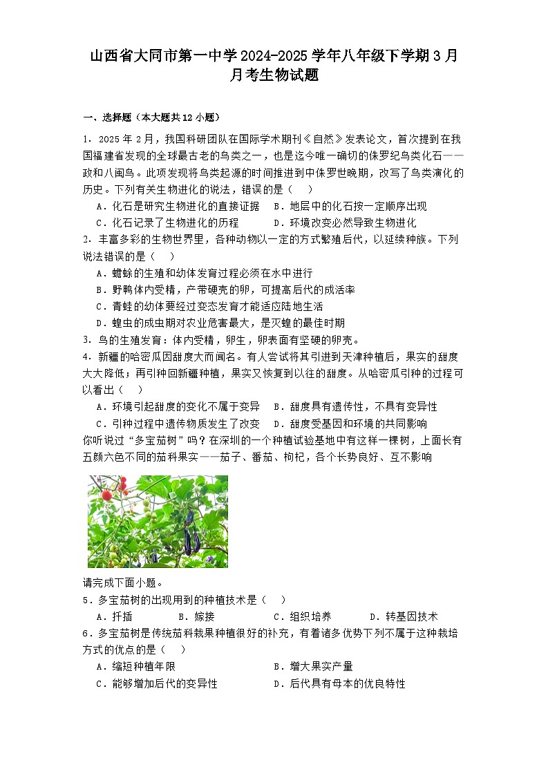 山西省大同市第一中学2024-2025学年八年级下学期3月月考 生物试题（含解析）第1页