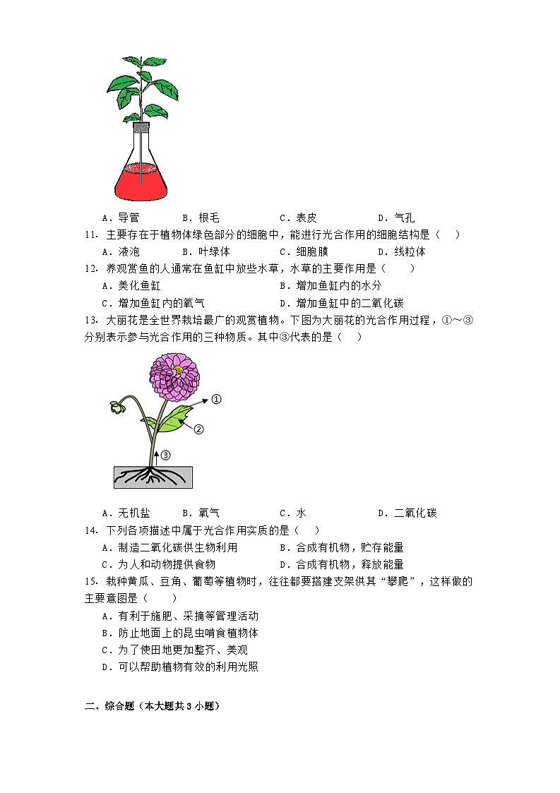 陕西省延安市2024-2025学年七年级下学期3月月考 生物试题（含解析）第3页