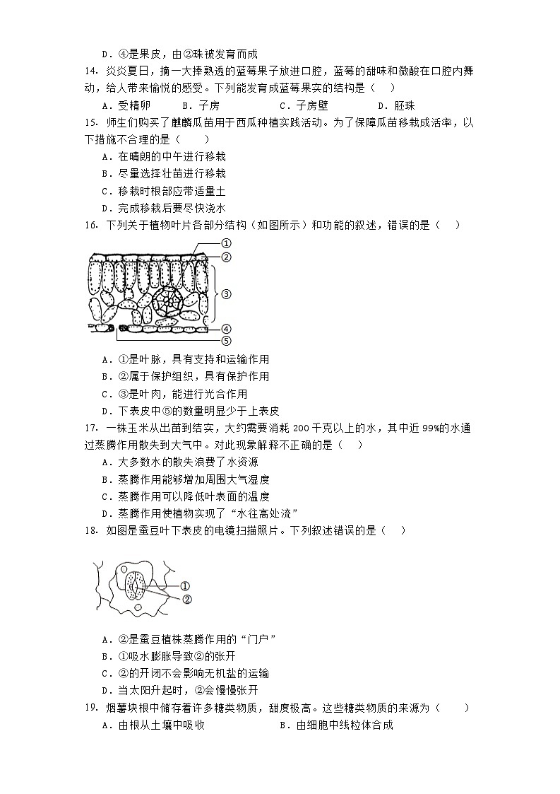 陕西省榆林市2024-2025学年七年级下学期3月月考 生物试题（含解析）第3页