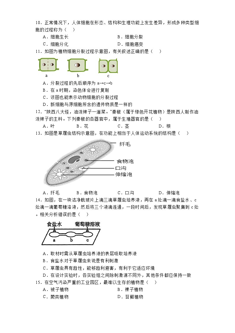 陕西省榆林市榆阳区2024-2025学年七年级下学期开学考试 生物试题（含解析）第2页