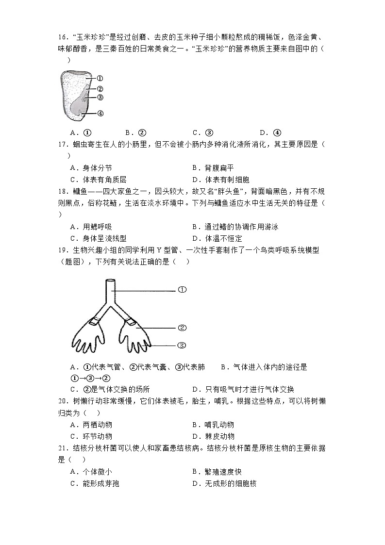 陕西省榆林市榆阳区2024-2025学年七年级下学期开学考试 生物试题（含解析）第3页