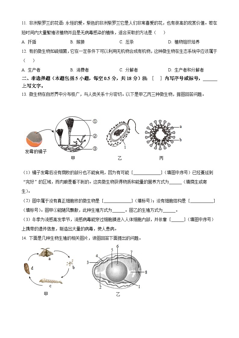 辽宁省抚顺市2024-2025学年八年级下学期3月月考生物试题（原卷版+解析版）第3页