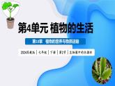 4.10.2 生物圈中的水循環(huán)（教學(xué)課件）-2024-2025學(xué)年七年級(jí)生物下冊(cè)（蘇教版2024）