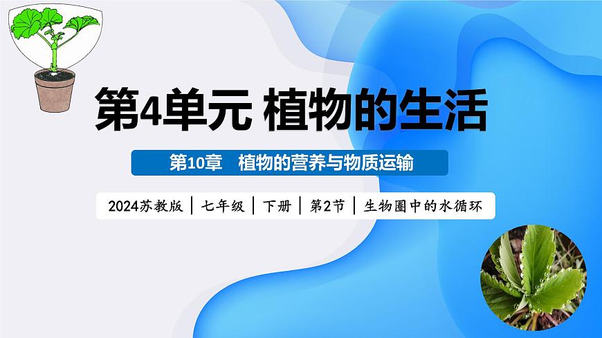 4.10.2 生物圈中的水循环（教学课件）-2024-2025学年七年级生物下册（苏教版2024）第1页