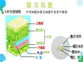 4.10.2 生物圈中的水循環(huán)（教學(xué)課件）-2024-2025學(xué)年七年級(jí)生物下冊(cè)（蘇教版2024）