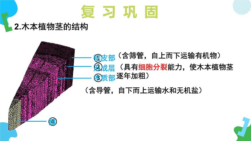 4.10.2 生物圈中的水循环（教学课件）-2024-2025学年七年级生物下册（苏教版2024）第6页