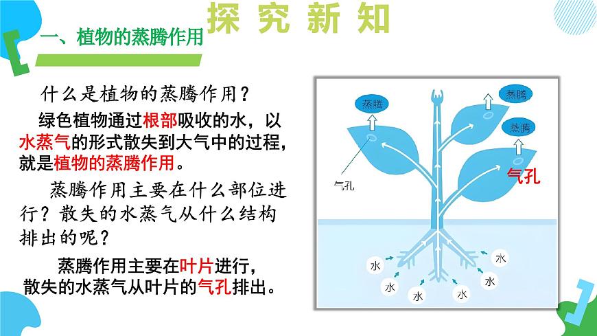 4.10.2 生物圈中的水循环（教学课件）-2024-2025学年七年级生物下册（苏教版2024）第8页