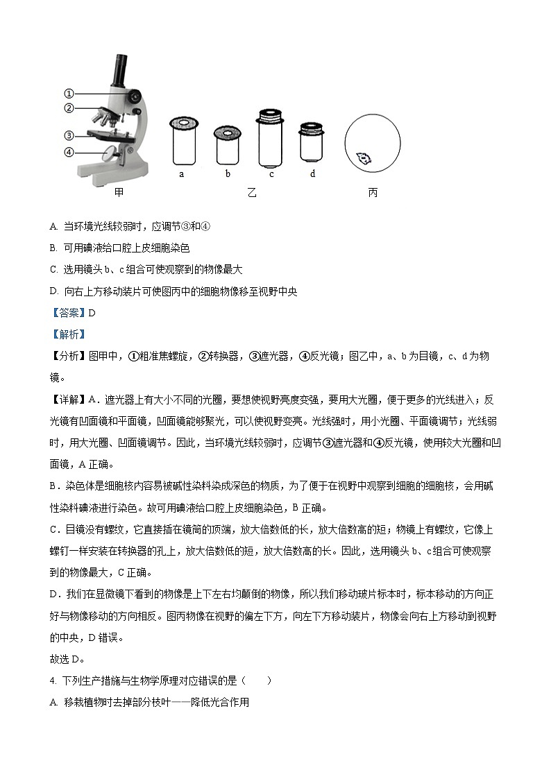 精品解析：2024年山东省滨州市中考生物真题（解析版）第3页