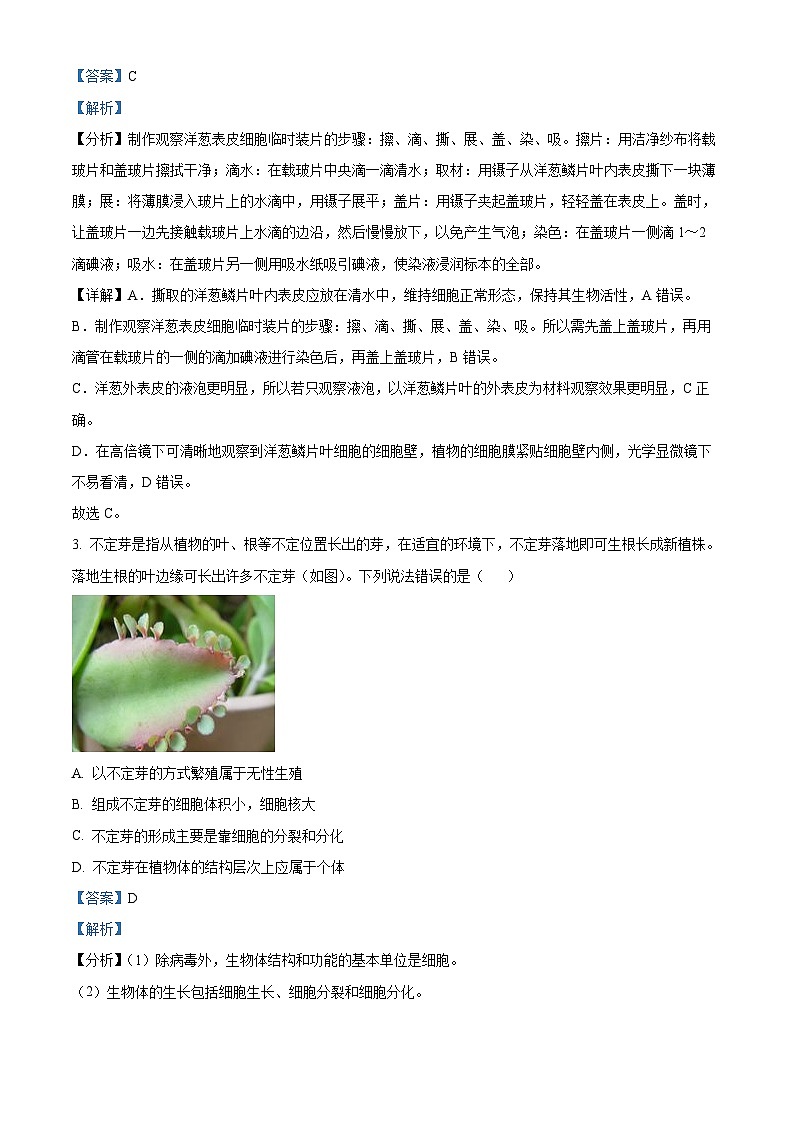 精品解析：2024年山东省潍坊市中考生物真题（解析版）第2页