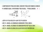 人教版八年級生物下冊專項滾動強(qiáng)化卷(二)綜合應(yīng)用 課件