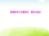 人教版八年級生物下冊新課標(biāo)學(xué)習(xí)主題特訓(xùn)遺傳與進(jìn)化課件