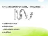 人教版八年級生物下冊新課標(biāo)學(xué)習(xí)主題特訓(xùn)遺傳與進(jìn)化課件