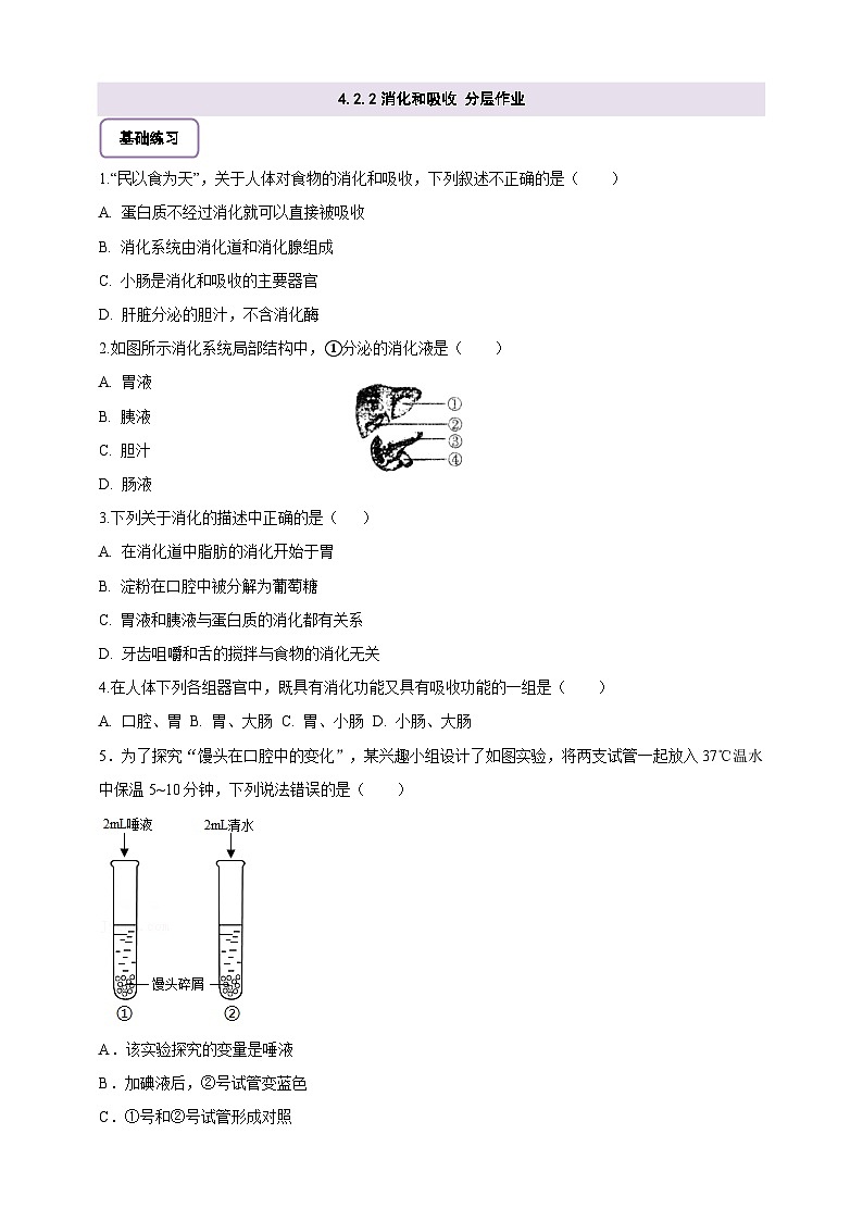 【大单元教学】人教版生物七下4.2.2消化和吸收 分层作业（含答案）第1页