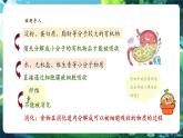 【新教材核心素養(yǎng)】人教版生物七年級下冊4.2.2消化和吸收（課件+同步教案+導(dǎo)學(xué)案+分層作業(yè)）