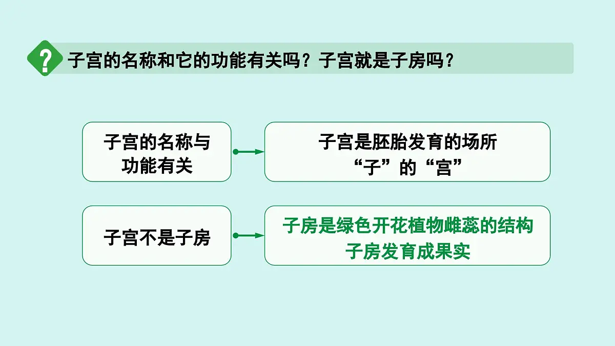 4.1.1 人的生殖 课件 人教2024版七年级下册生物第8页