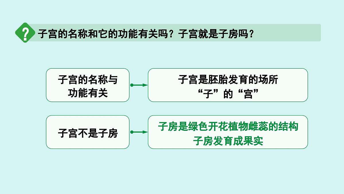 4.1.1 人的生殖 课件 人教2024版七年级下册生物第8页