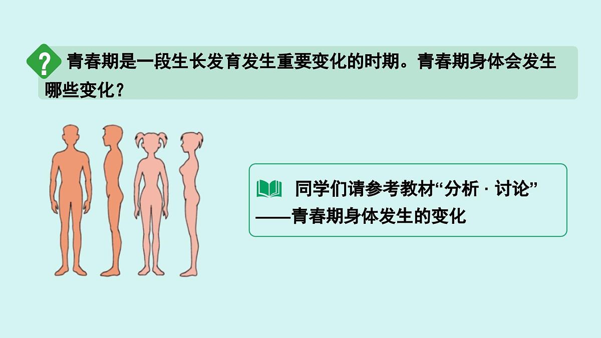 4.1.2 青春期 课件 人教2024版 七年级下册生物第4页